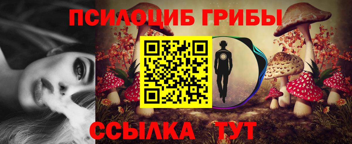 Псилоцибиновые грибы прущие грибы Лосино-Петровский